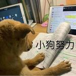 ohno叔鱼