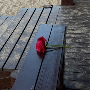 ep08. 20s diary｜我和有回避型依恋的女孩子经历过一场 情感过山车