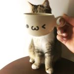 且常乐