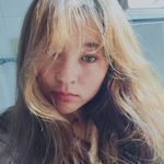 不死鸟echo