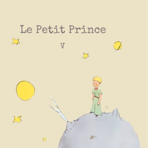 《小王子》----Chapitre V