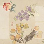 盈野观夏