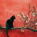 Wtianw