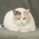 第49条