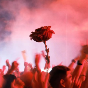 非诚勿扰：那些因为散步而走“散”的男嘉宾