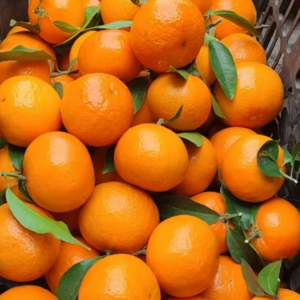 S1E15 幸福，是一场从心开始的修炼