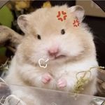 HD林之校的真理