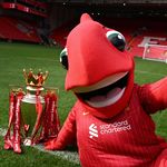 云边YNWA