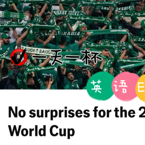 【225】2034世界杯落户沙特