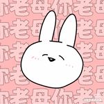 十月的卷毛