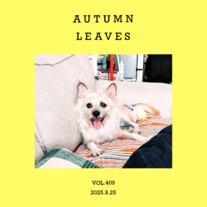 vol.409：落叶的窸窸窣，秋天的悄悄话～