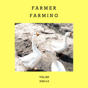 vol.283:正是人间农忙时~