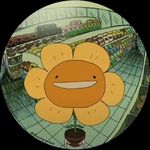 向日葵味的武士