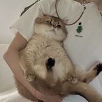 钟影