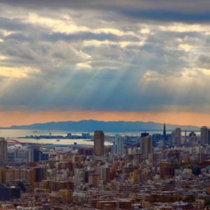 Ep22 2025年度好物推荐（下） with乔治&天冲