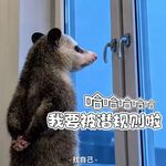 盘点那些职场皇族：当关系户要“潜规则”我