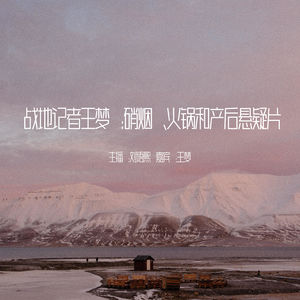 战地记者王梦：硝烟、火锅和产后悬疑片