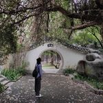 咱们波波头有力量