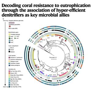 1126-Key Microbial Allies for Coral Resilience