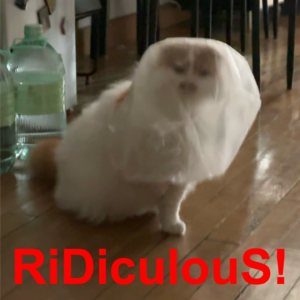 Vol. 8 怎么想怎么荒谬的事,怎么还是做了?