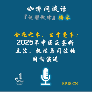 EP89 合抱之木，生于毫末：2025年中国反垄断立法、执法与司法的同向演进