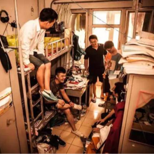 28.舍友颠公颠婆,今天你死我活