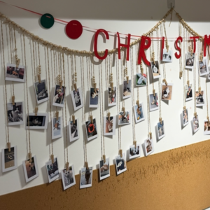 Vol.29🐱一面关于30只流浪猫的重生墙：咖啡店主理人的爱与痛