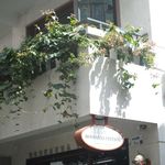一块饭后小熊饼干