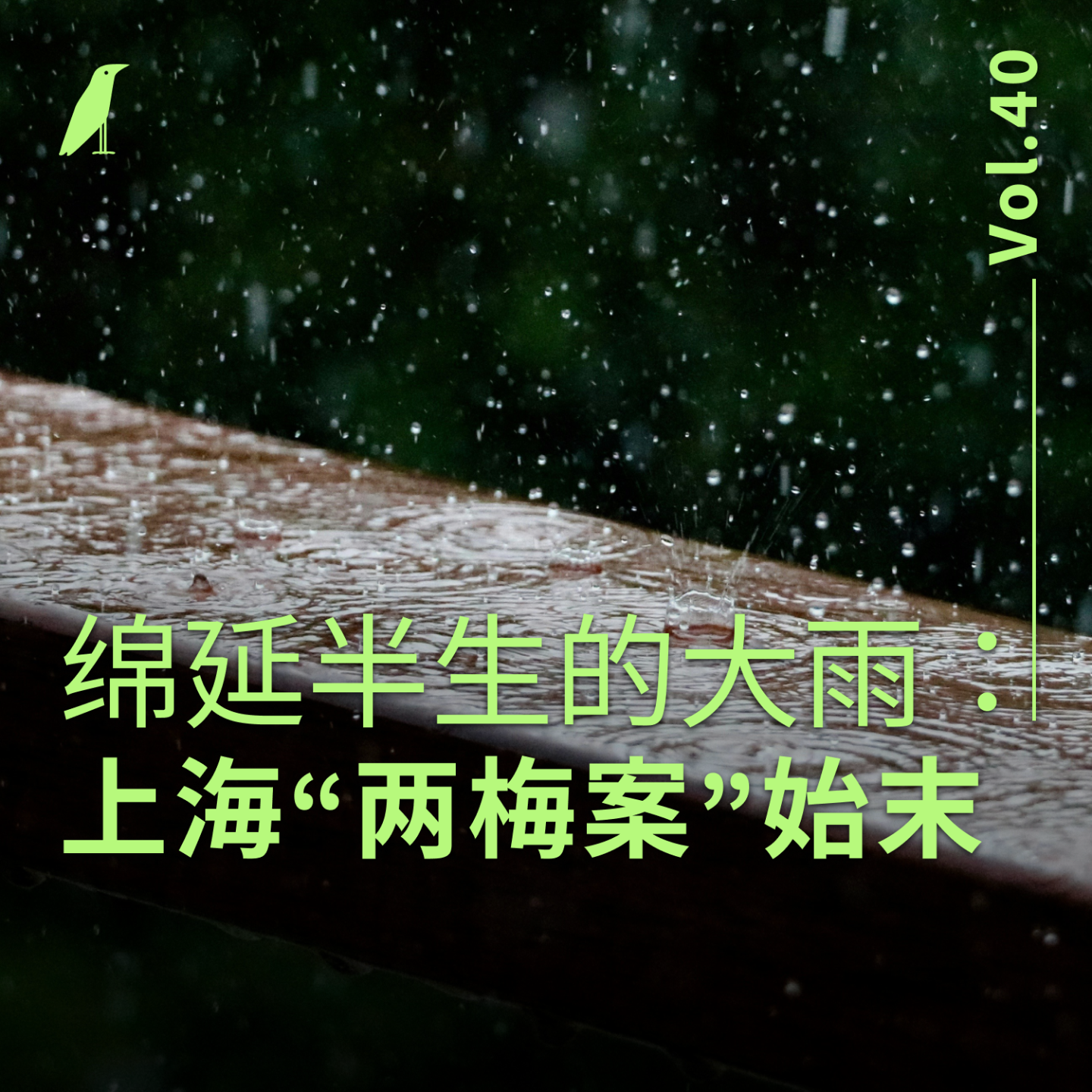 cover of episode 040 绵延半生的大雨：上海“两梅案”始末