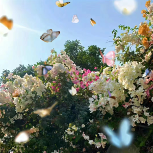 VOL170.六月最后一天： 夏天是光彩四射力大无比的季节。色彩原封不动地浸泡在河水里。