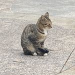 这个世界玩蛋了