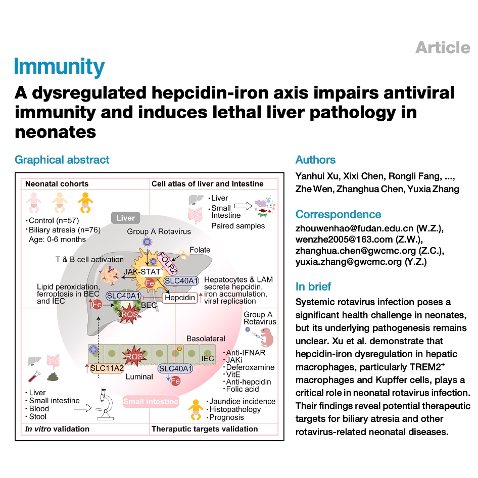 340-轮状病毒感染中 hepcidin-铁失调与新生儿肝损伤