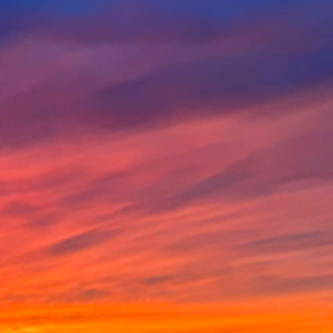 城市日记 I 疯是一种宝贵的特长