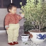 唐醋小排骨_椒盐也行