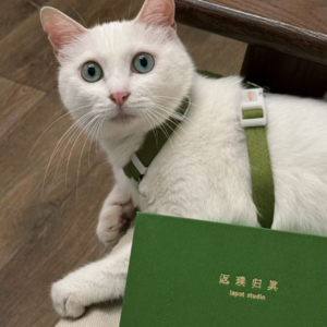 04 我和窄門平静度过的2025