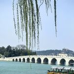 苏岩2012