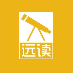 远读