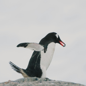 EP126 基于状态转移自适应后验动态因子模型的股票收益预测