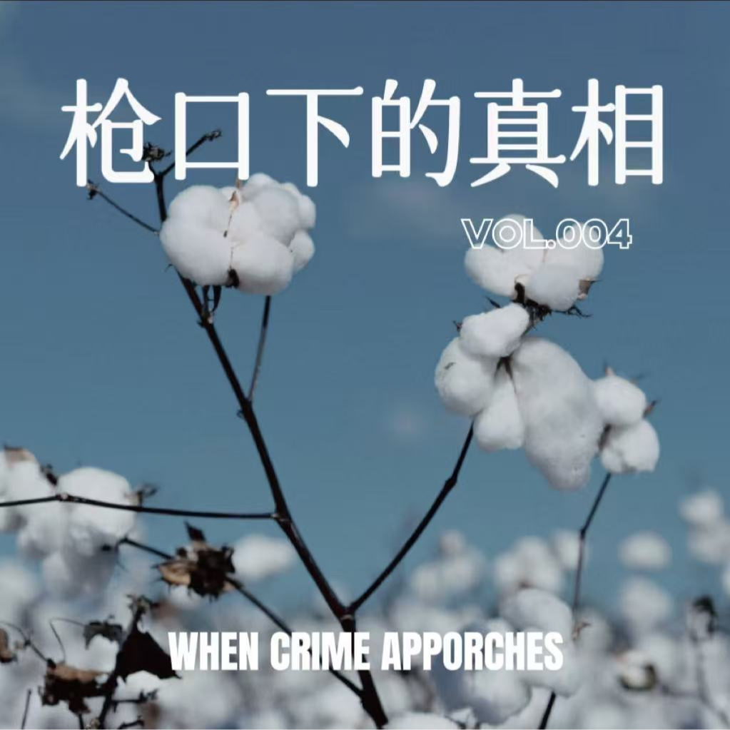 EP04 枪口下的真相：死刑犯检举案中案 episode artwork