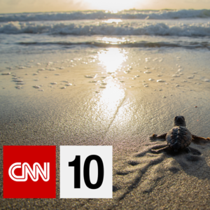 CNN 10｜General Assembly, raging wildfire, turtle protection