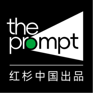 the prompt