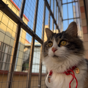 Vol.4 人生剧本差又如何 关键在于那个“我”