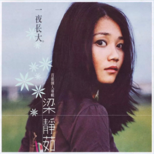 分享梁静茹的歌曲-个人向歌单