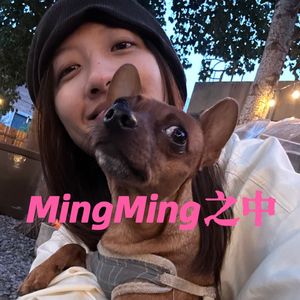 MingMing之中