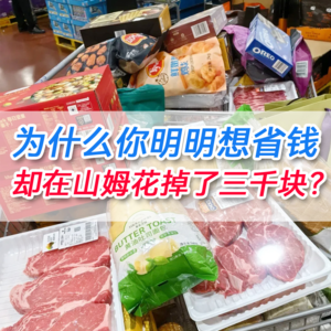 07 山姆购物是情绪狂欢还是超级理性