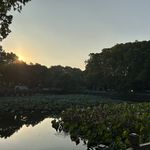 大耳图图