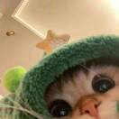 菠萝菠萝菠萝菠萝