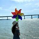 张鱼小丸汁Elvira