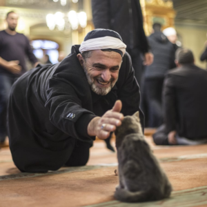 伊朗总统是被“做掉”的么？