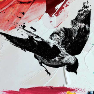 番外篇｜王尔德《夜莺与玫瑰》